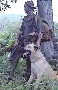 Lance Corporal Ralph H. McWilliams and his scout dog, Major, Vietnam, November 1967