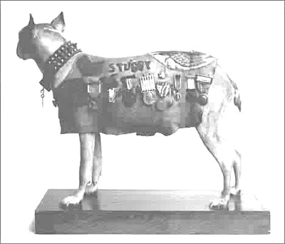 Stubby, decorated heavily, in his military coat